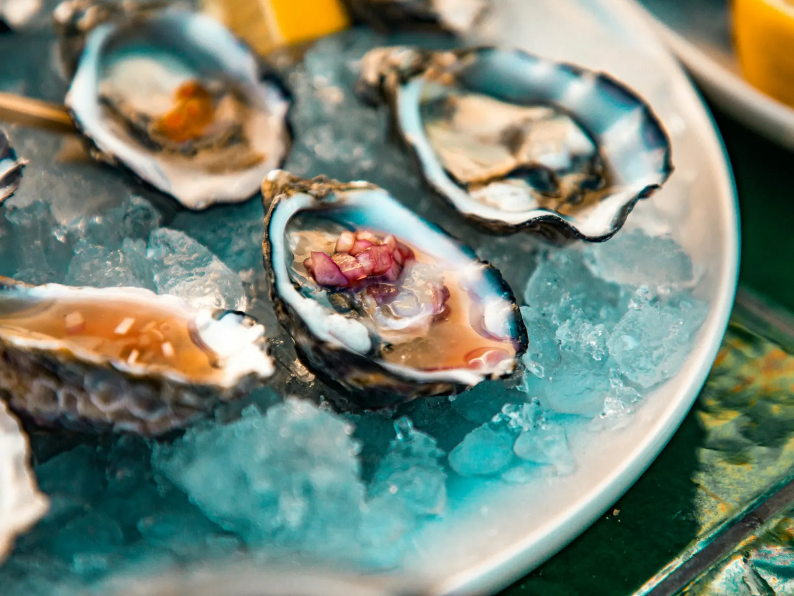 Oysters on ice